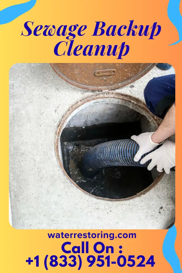 Sewage Backup Cleanup in Jay, OK